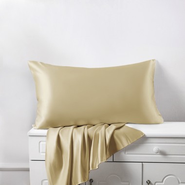 Champagne 22 Momme Mulberry Zipper Silk Pillowcase UK for Sale