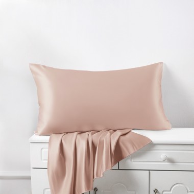 Pearl Pink 22 Momme Mulberry Zipper Silk Pillowcase UK for Sale